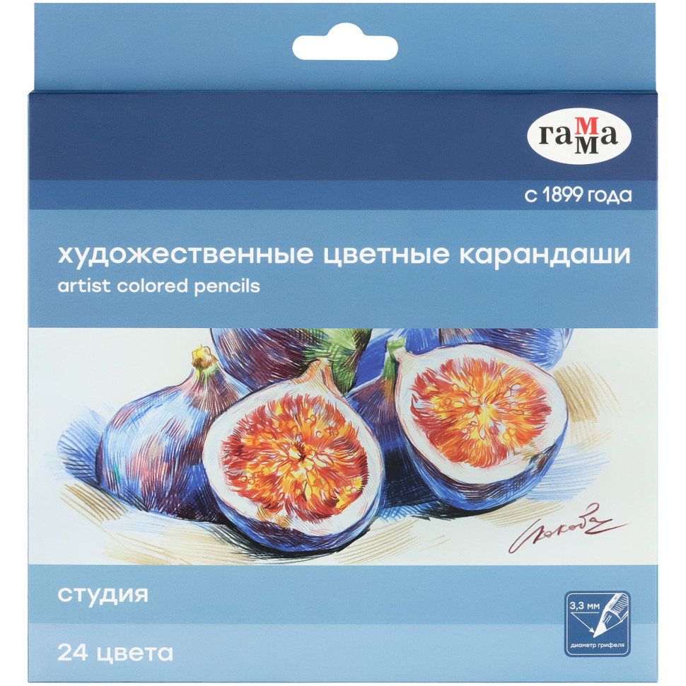 Карандаши цветные художественные Гамма "Студия", 24цв., заточен., картон. упаковка, 356557