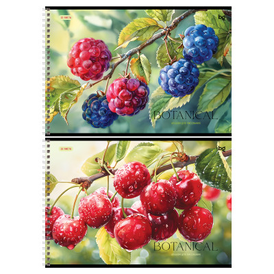 Альбом для рисования 32л., А4, на гребне BG "Botanical", 12 штук, 378708