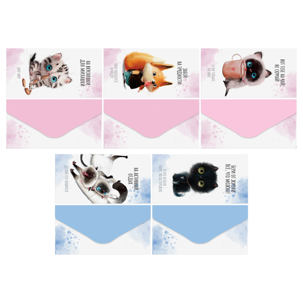 Конверт для денег MESHU "Cute kittens" 85*164мм, матовая ламинация, 5 дизайнов, 60 штук, 378292