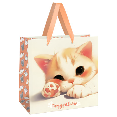Пакет подарочный 20*20*10см MESHU "Lovely kitten", матовая ламинация, 382371